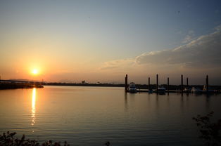 九游官网入口下载-千帆竞发，轻艇马拉松点亮湖滨赛场，赛艇马拉松多少公里